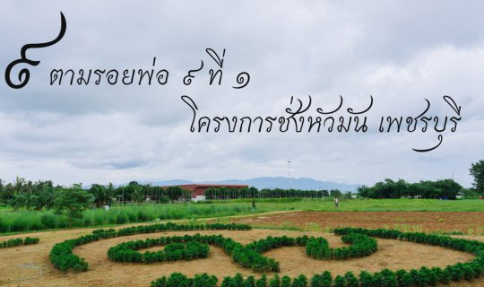 cover ๙ตามรอยพ่อ ๙ ที่ ๑ โครงการชั่งหัวมัน เพชรบุรี