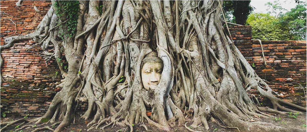 cover One day trip in Ayutthaya