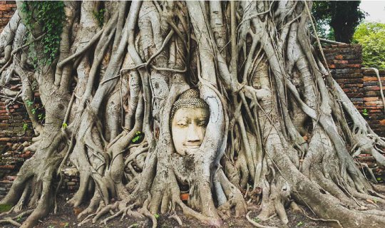 cover One day trip in Ayutthaya