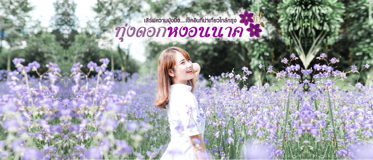 cover เสิร์ฟความมุ้งมิ้ง...เช็คอินที่น่าเที่ยวใกล้กรุง 💜🌿 ทุ่งดอกหงอนนาค 🌿💜
