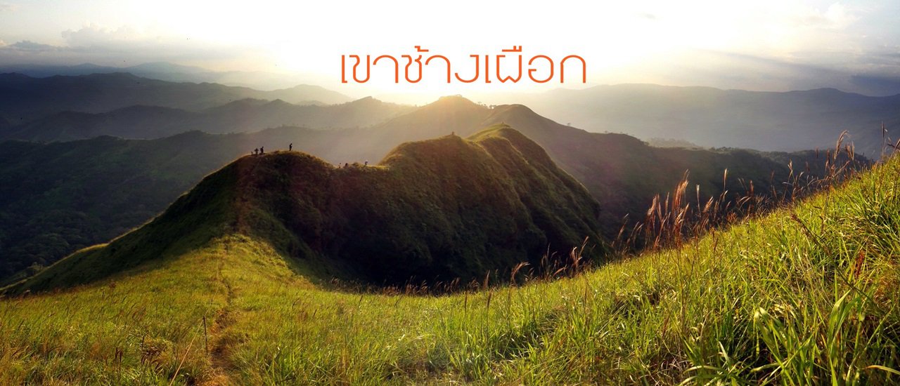 cover เขาช้างเผือก เปิดละจร้า .. ดินแดนในฝัน ยากกว่าเดิน คือจอง..ให้ได้