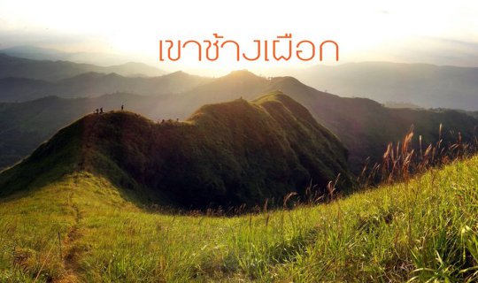 Cover เขาช้างเผือก เปิดละจร้า .. ดินแดนในฝัน ยากกว่าเดิน คือจอง..ให้ได้...