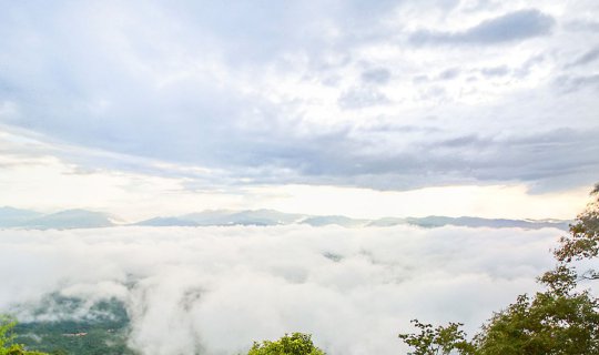 Cover ใ ค ร ไ ม่ ด า ว  "เสมอดาว"...