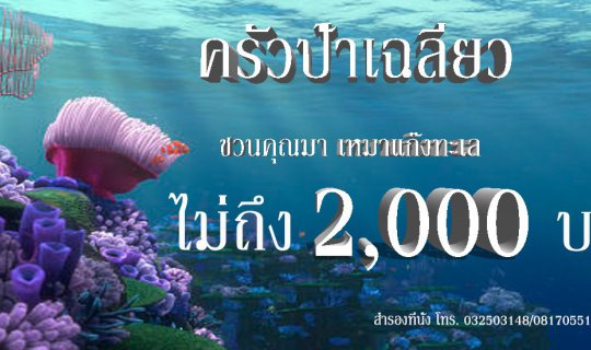 Cover ครัวป้าเฉลียว ชวนคุณมา เหมาแก๊งทะเล ในราคาไม่ถึง 2,000 บาท...