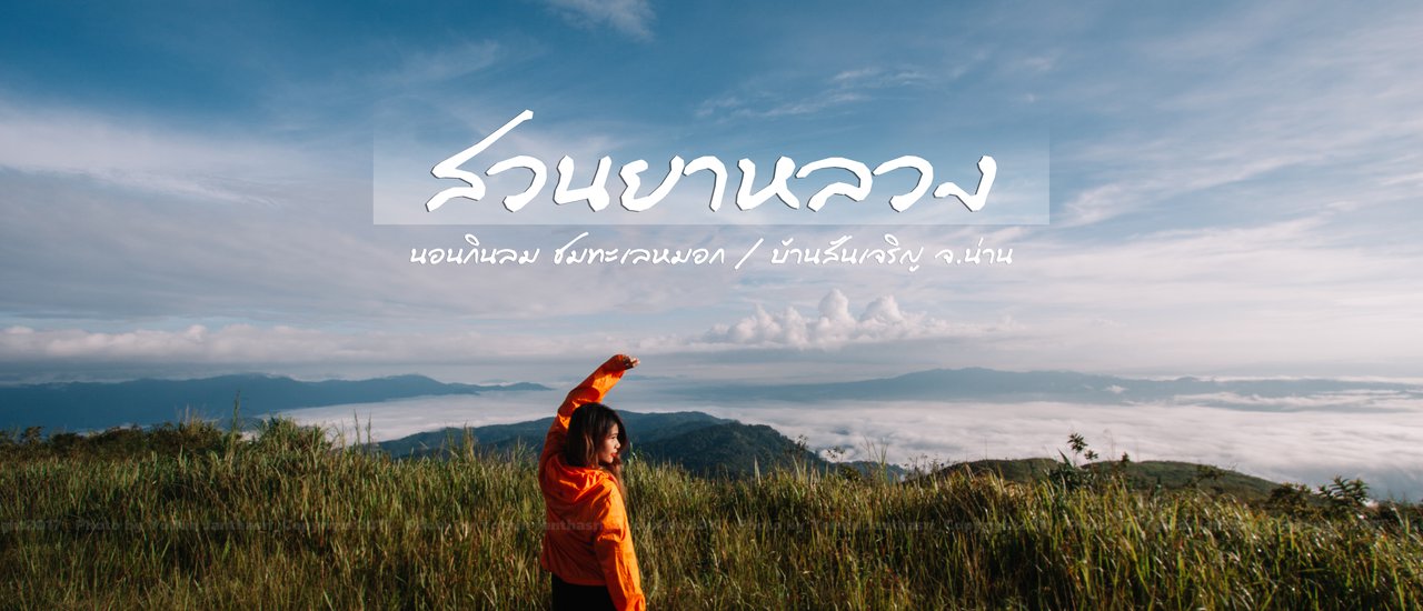 cover นายตัวน้อย : พาพิชิตยอดดอยสวนยาหลวง จ.น่าน