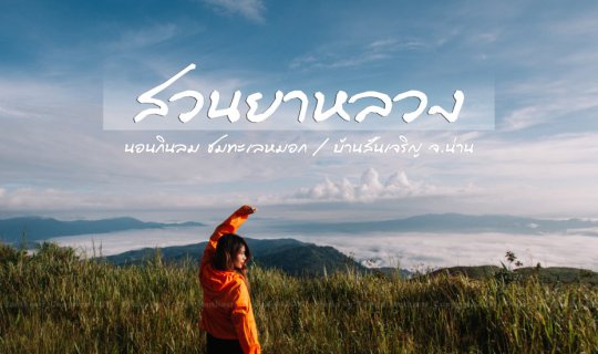 Cover นายตัวน้อย : พาพิชิตยอดดอยสวนยาหลวง จ.น่าน...