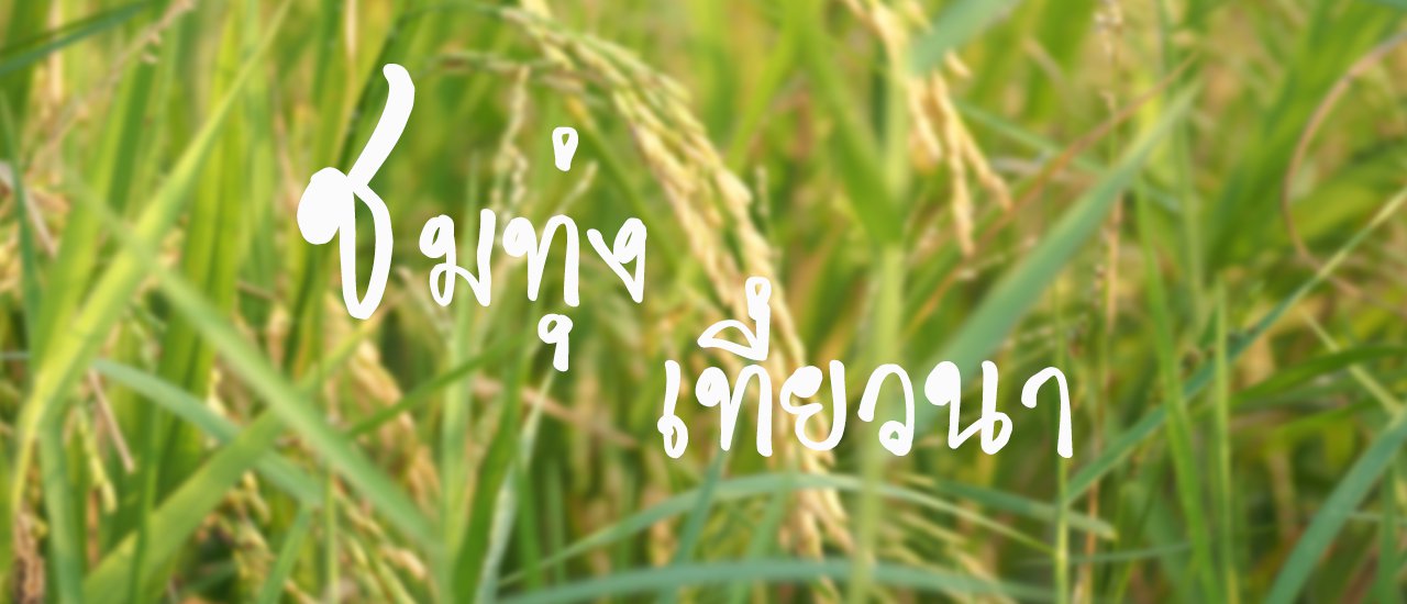 cover ชมทุ่ง เที่ยวนา