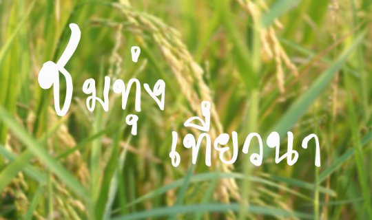 cover ชมทุ่ง เที่ยวนา