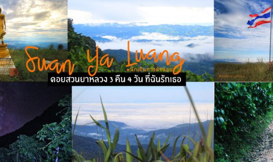 cover ทริปล้างใจ ดอยสวนยาหลวง 3 คืน 4 วัน ที่ฉันรักเธอ