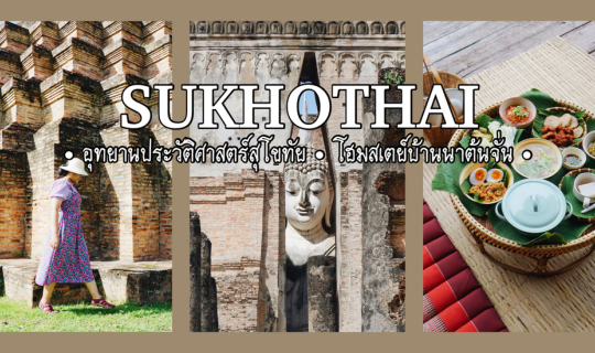 cover ทริปลุยเดี่ยวแบกเป้เที่ยวสุโขทัย โฮมสเตย์บ้านนาต้นจั่น ชมทะเลหมอก (แบบไม่มีรถส่วนตัว)