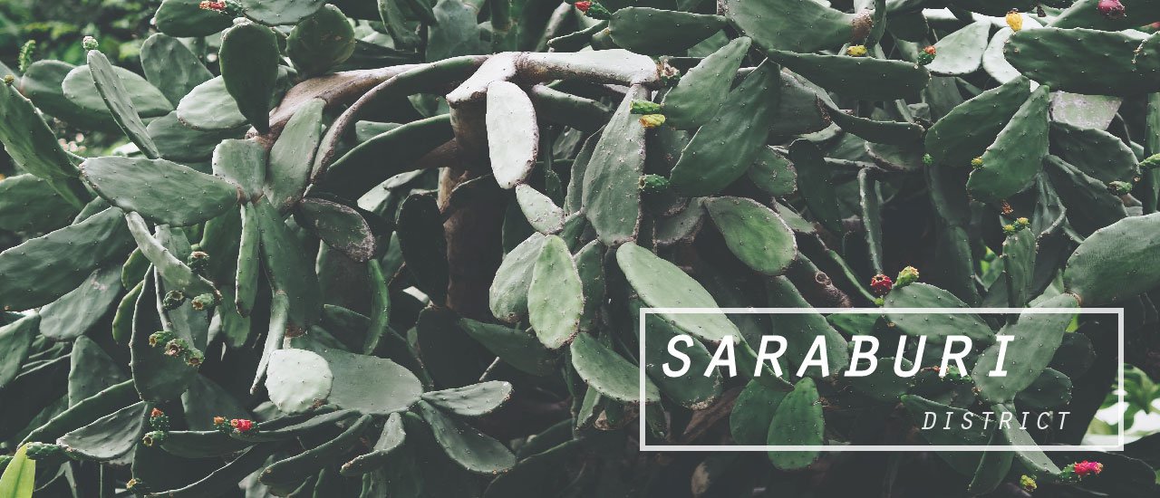 cover สระบุรี วันเดียวรู้เรื่อง