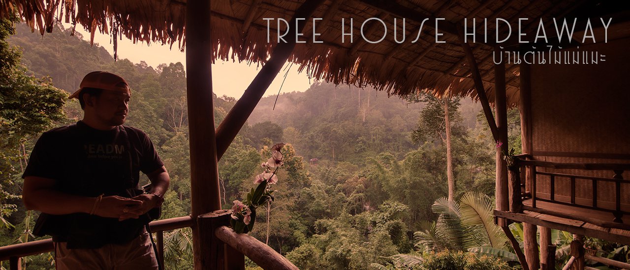 cover ป่าไม้และสายธารความเรียบง่ายที่ลงตัว ที่บ้านต้นไม้แม่แมะ อ.เชียงดาว จ.เชียงใหม่