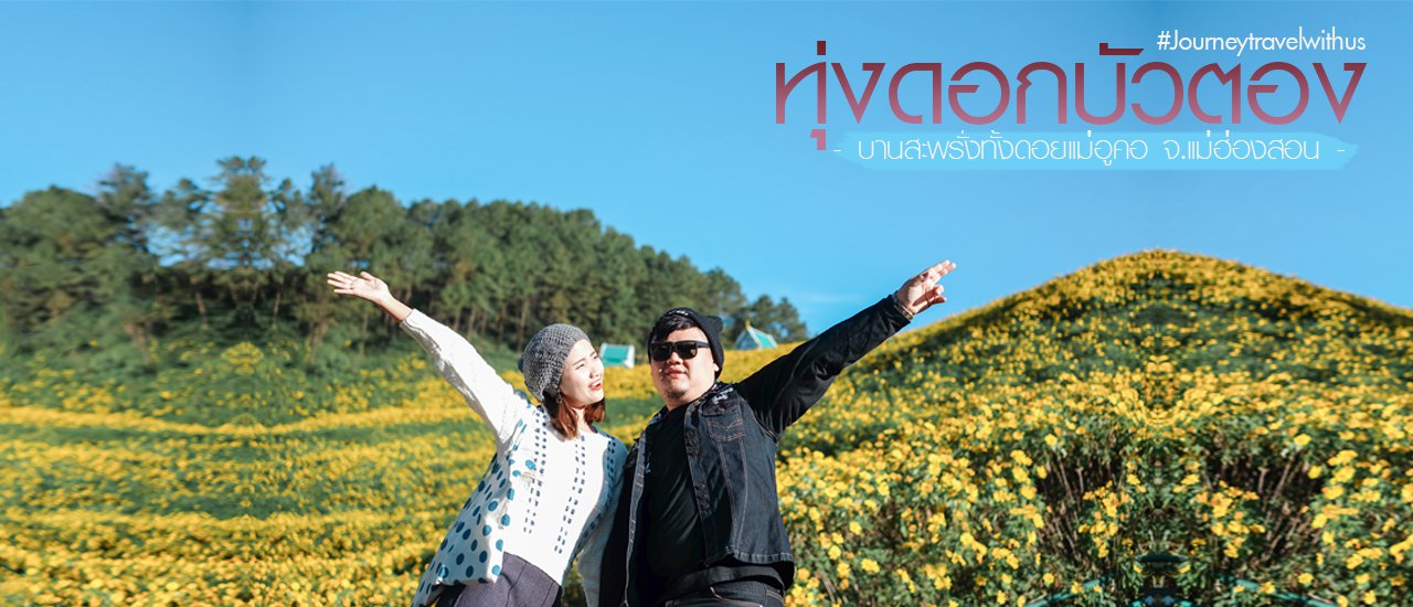 cover 🌼 ทุ่ ง ด อ ก บั ว ต อ ง 🌼 ผลิบานต้อนรับลมหนาว...เหลืองสะพรั่งทั้งดอยแม่อูคอ ✦