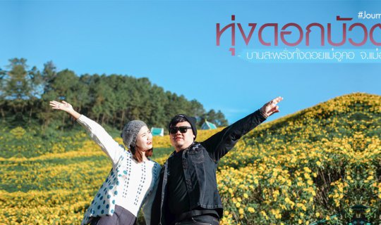 cover 🌼 ทุ่ ง ด อ ก บั ว ต อ ง 🌼 ผลิบานต้อนรับลมหนาว...เหลืองสะพรั่งทั้งดอยแม่อูคอ ✦