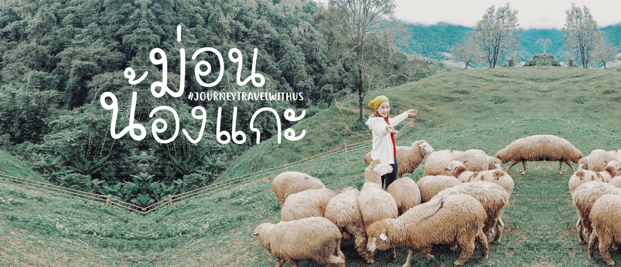 cover ชวนเที่ยว ► ม่ อ น น้ อ ง แ ก ะ 🐑💭 จุดเช็คอินล่าสุดบนดอยผาตั้ง จ.เชียงใหม่