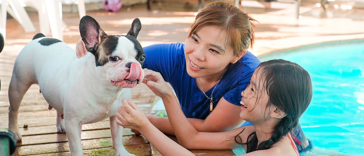 cover A pet friendly resort that allows doggies - Boat Lodge Resort @Hua Hin