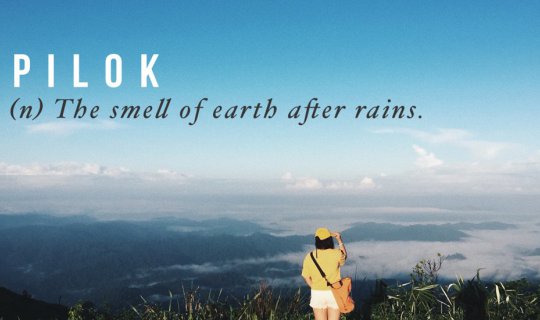 Cover ปิล็อค - บ้านอีต่อง l เมืองในหมอก...