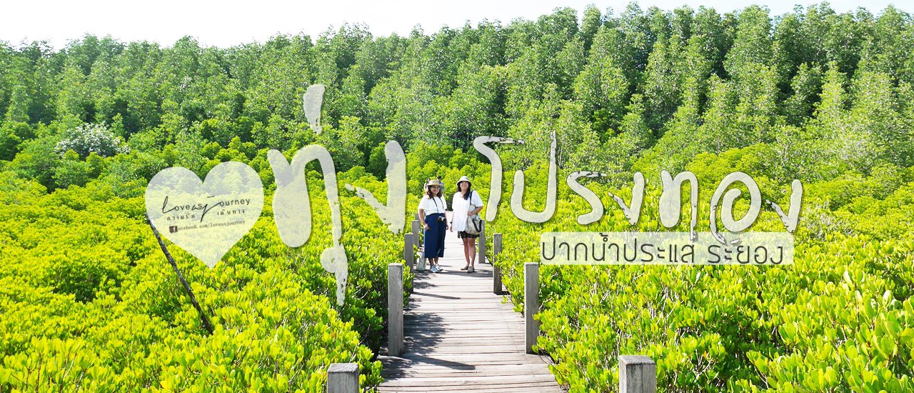 cover ทุ่งโปรงทอง ปากน้ำประแส * ระยอง *