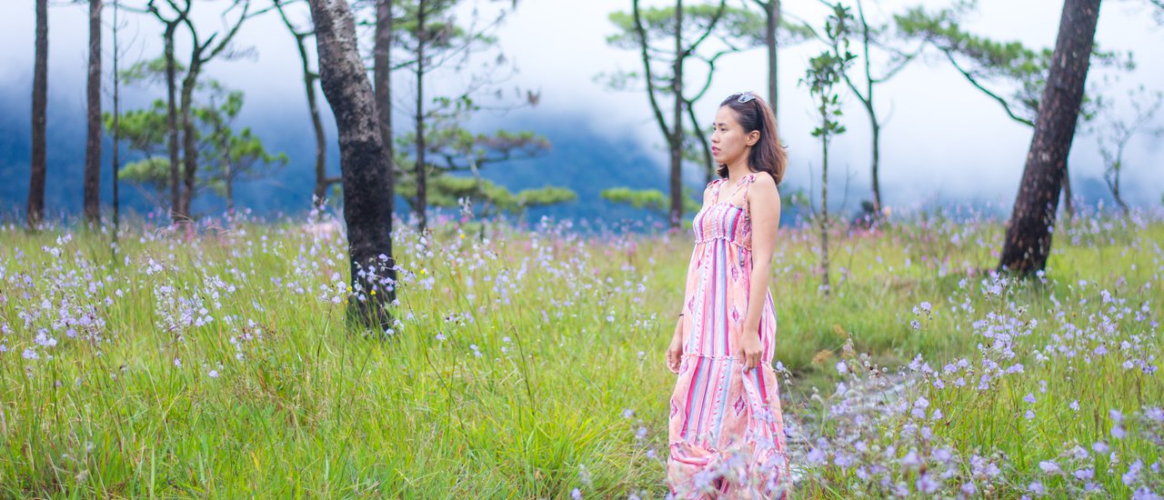 cover พิชิตภูสอยดาว หนาว ร้อน ฝน ดาว หมอก ครบทุกฤดู ยิ่งรู้จักยิ่งรักเธอ