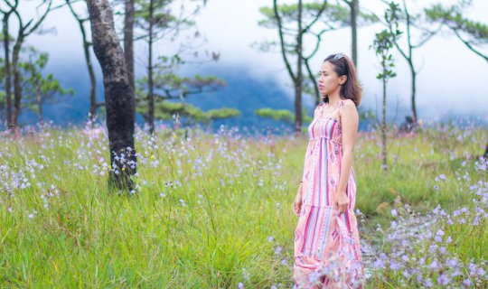 cover พิชิตภูสอยดาว  หนาว ร้อน ฝน ดาว หมอก ครบทุกฤดู ยิ่งรู้จักยิ่งรักเธอ