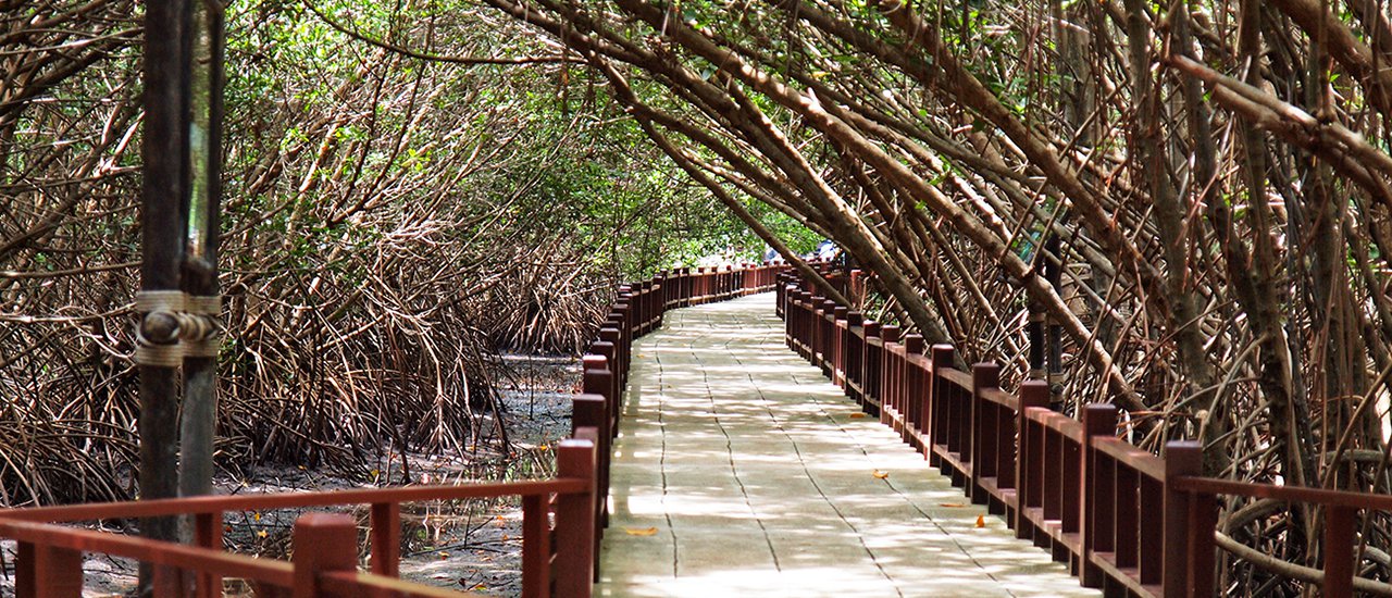 cover เที่ยวสบายสไตล์ประจวบ ชมเมืองสามอ่าว สดชื่นธรรมชาติสามป่าชายเลน