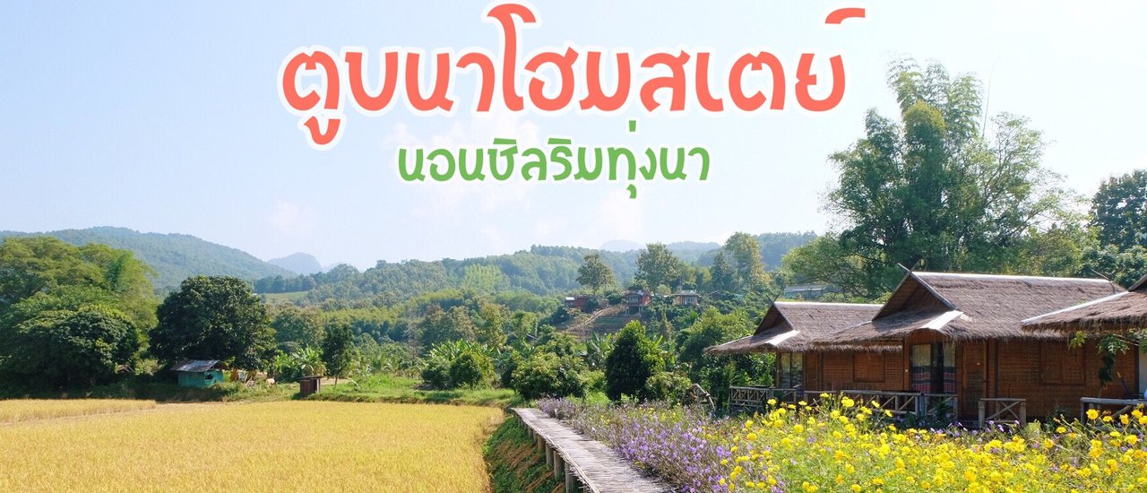 cover นอนชิลริมทุ่งนาที่...ตูบนาโฮมสเตย์