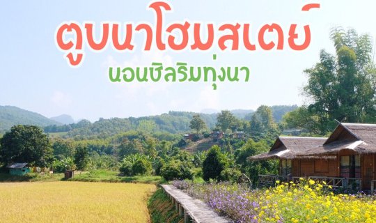 cover นอนชิลริมทุ่งนาที่...ตูบนาโฮมสเตย์