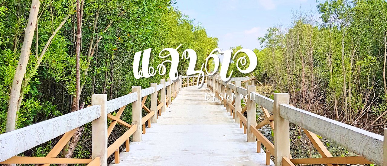cover Slow life Trip เที่ยวแบบชิค ๆ เที่ยวแบบคูล ๆ "พายเรือ งมหอย ลอยคอ" @แสนตอ โฮมสเตย์ลุงสอน กรุงเทพมหานคร