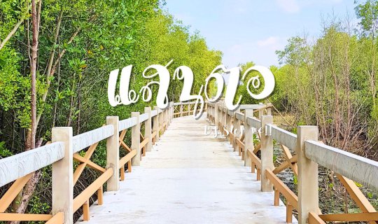 cover Slow life Trip เที่ยวแบบชิค ๆ เที่ยวแบบคูล ๆ "พายเรือ งมหอย ลอยคอ" @แสนตอ โฮมสเตย์ลุงสอน กรุงเทพมหานคร