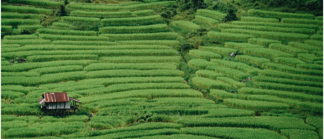 cover @@ไปเชียงใหม่กันเถอะ ไปดูนาเขียวขจีที่โครงการหลวงขุนแปะ แล้วแวะพักภูอันนา อีโค่ เฮ้าส์ @@