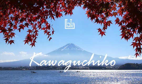 cover รีวิว พาไปชมใบไม้เปลี่ยนสีวิวภูเขาไฟฟูจิ ที่ Kawaguchiko Lake ด้วยรถบัส!