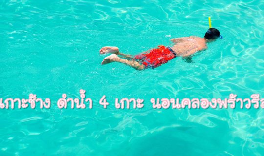 cover เที่ยวเกาะช้าง ดำน้ำ 4 เกาะ นอนคลองพร้าวรีสอร์ท