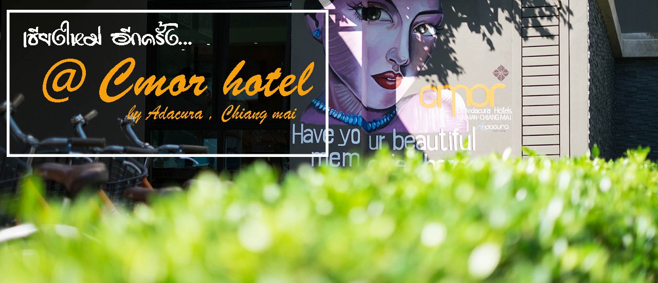 cover เชียงใหม่อีกครั้ง @ Cmor hotel Chiang mai
