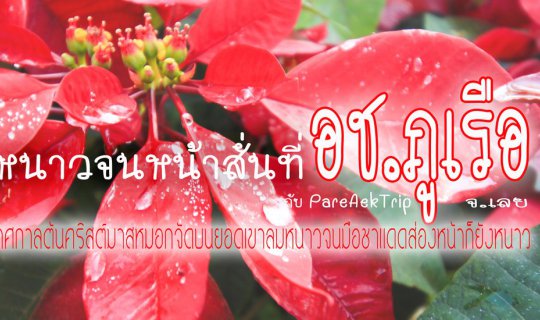 cover ไปหนาวกันที่ อช.ภูเรือ กับ "PareAekTrip"