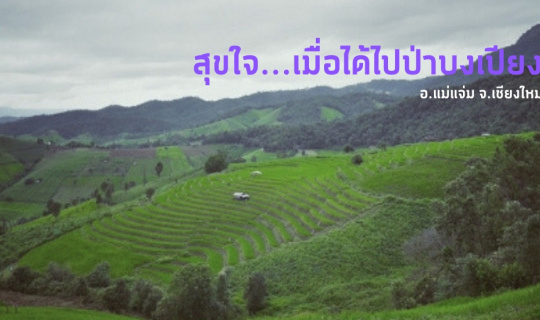 cover #นาขั้นบันไดเขียวชะอุ่ม : จ่าย 5 ร้อย วิว 5 ล้าน ไปนอนที่กระท่อมกลางนาที่ป่าบงเปียง @บ้านมาฉิโพ