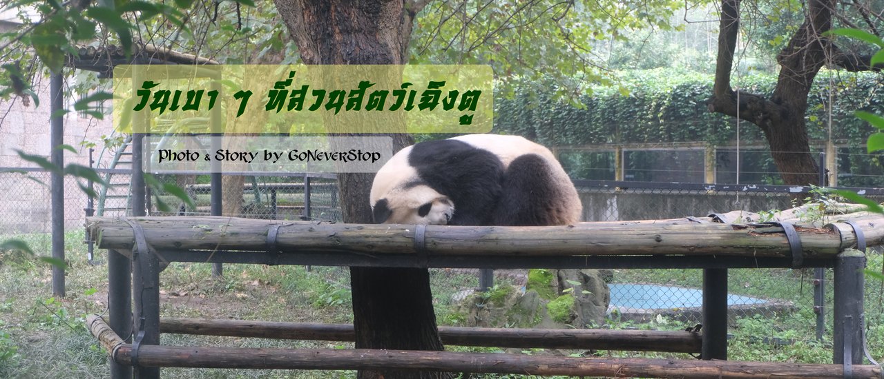 cover วันเบา ๆ ที่สวนสัตว์เฉิงตู