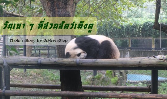 Cover วันเบา ๆ ที่สวนสัตว์เฉิงตู...