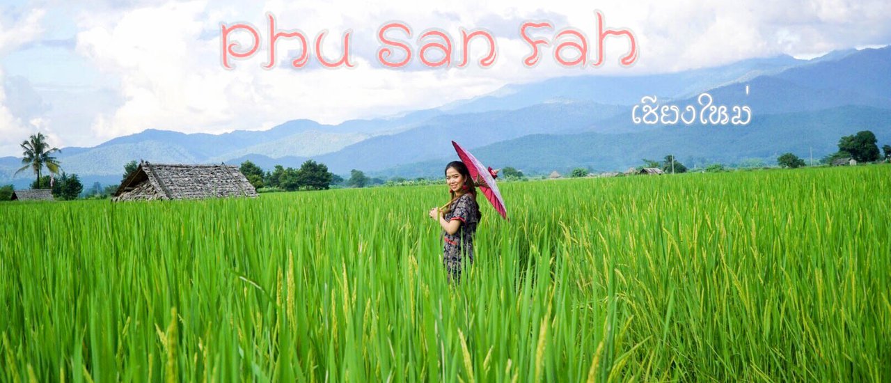 cover ม่วนใจ๋ นอนนาข้าว แอ่วน้ำตก ที่เชียงใหม่