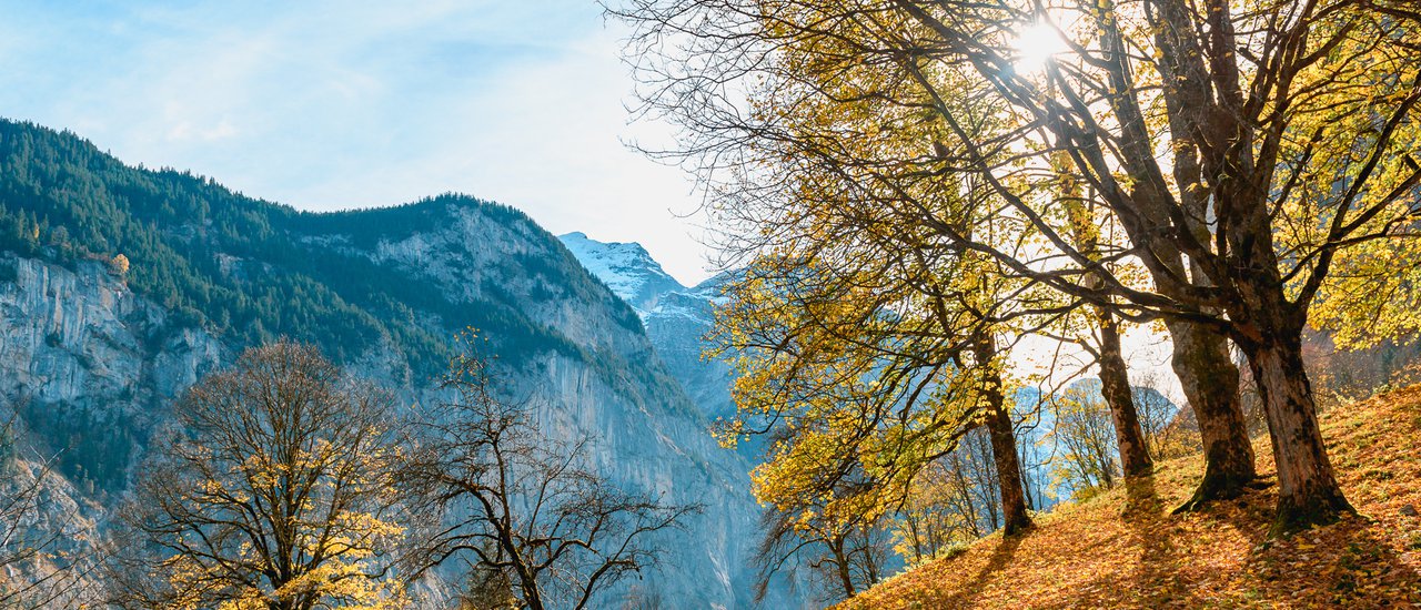 cover ครั้งหนึ่งในชีวิตกับใบไม้เปลี่ยนสีที่ Switzerland