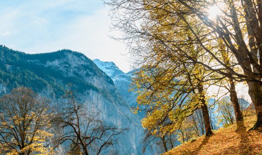 cover ครั้งหนึ่งในชีวิตกับใบไม้เปลี่ยนสีที่ Switzerland