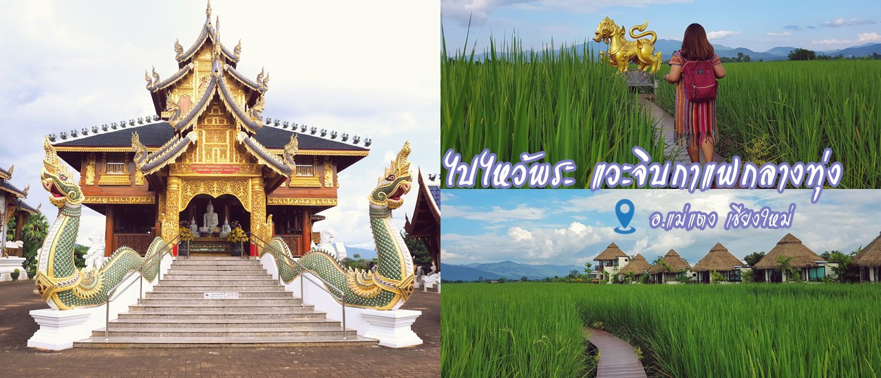 cover เชียงใหม่อีกสักครั้ง...ไหว้พระ วัดเด่นสะหลีศรีเมืองแกน & แวะจิบกาแฟ ภูสันฟ้า Coffee House