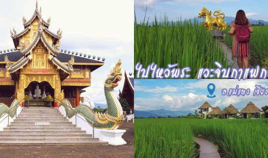 cover เชียงใหม่อีกสักครั้ง...ไหว้พระ วัดเด่นสะหลีศรีเมืองแกน & แวะจิบกาแฟ ภูสันฟ้า Coffee House