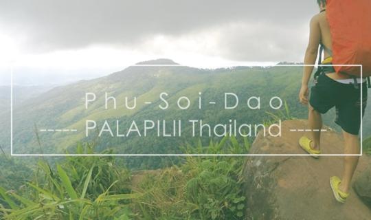 cover 【Phu Soi Dao】--- Stars on the Mountain