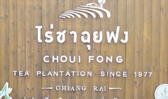 cover ไร่ชาฉุยฟง อ.แม่จัน ความงดงามของการปลูกชาวนตามไหล่เขา