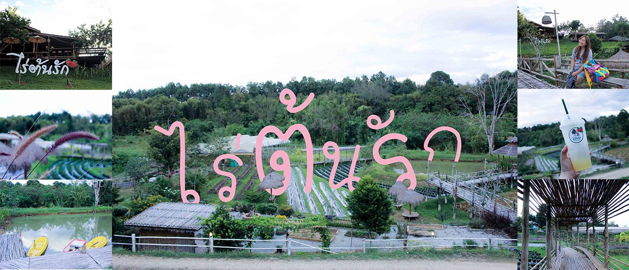 cover ไร่ต้นรัก ไร่สตรอเบอรี่บรรยากาศดี อ.ปัว จ.น่าน