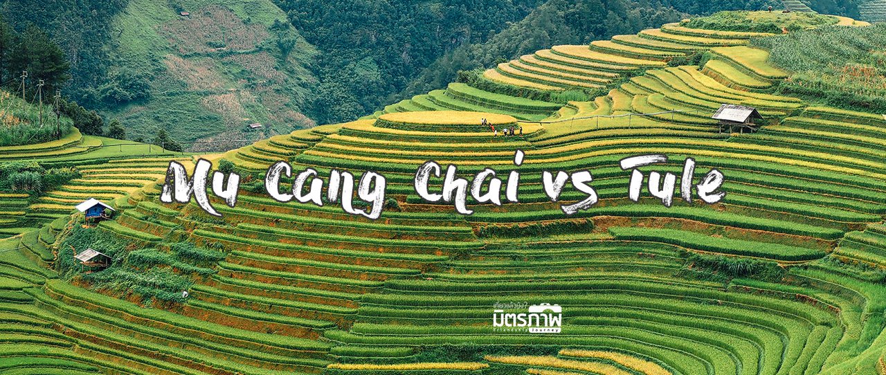 cover Rice Terrace surrounded by the fog at Mu Cang Chai, Tu Le, Vietnam.