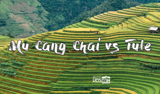 cover Rice Terrace surrounded by the fog at Mu Cang Chai, Tu Le, Vietnam.