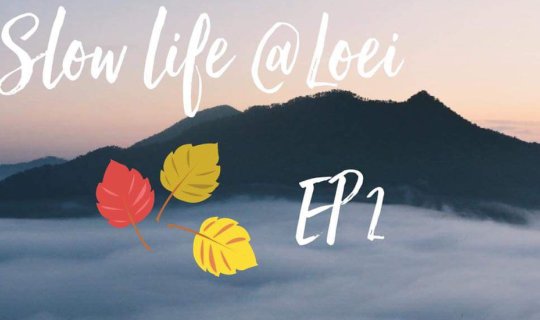 Cover Slow " เลย " Slow life [ EP 2 ภูทอก ]...