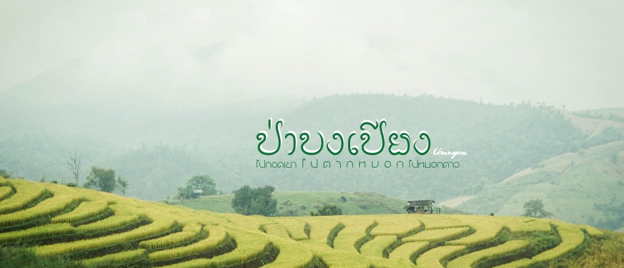 cover ป่าบงเปียง ที่พักหลักร้อย วิวหลักล้าน