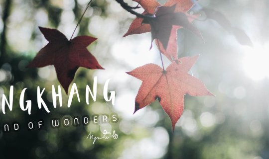 cover ใบไม้เปลี่ยนสีที่.."ดอยอ่างขาง" 🍁 Autumn in Ang Khang